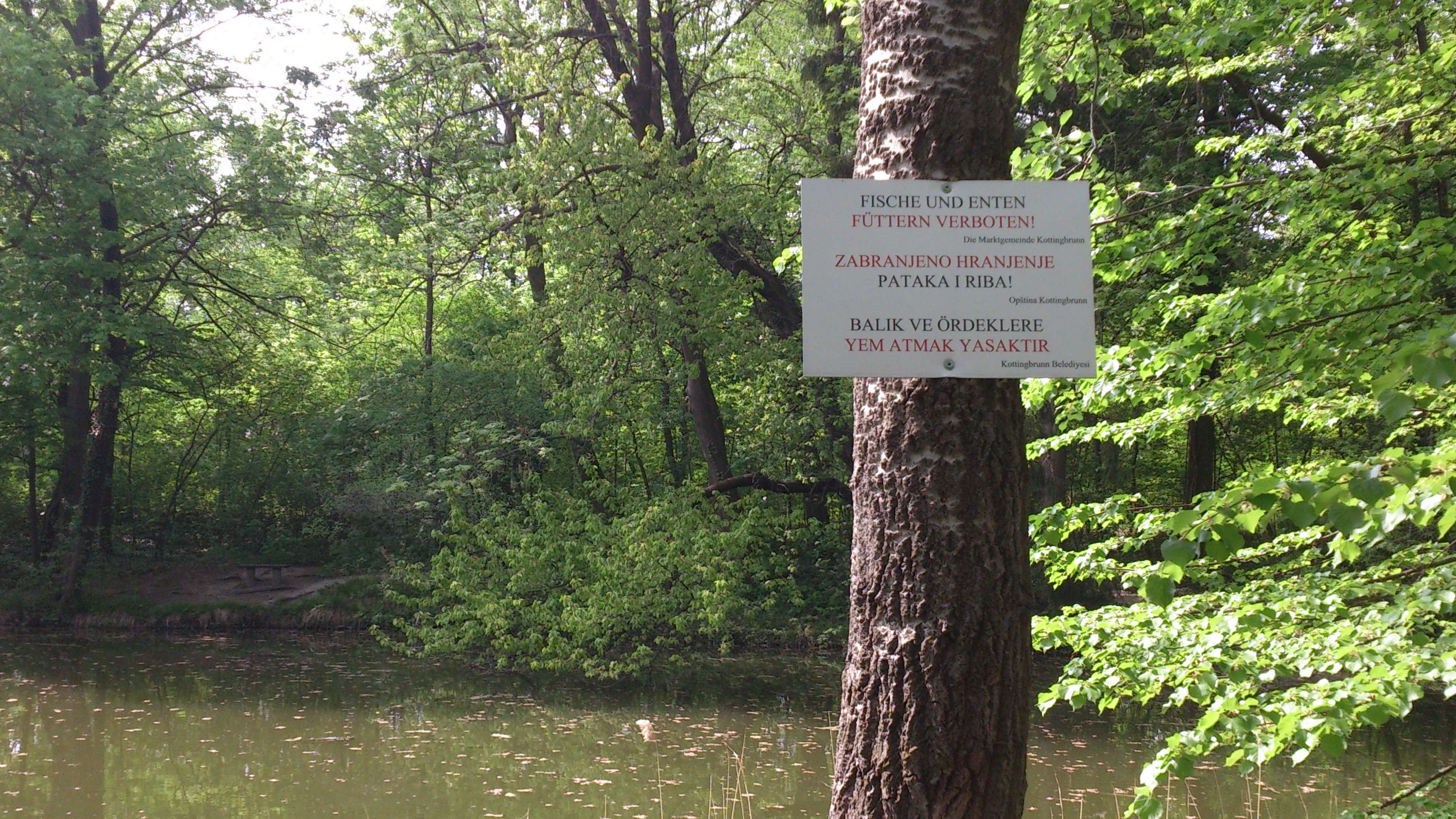 Opština Kottingbrunn - zabranjeno hranjenje pataka i riba